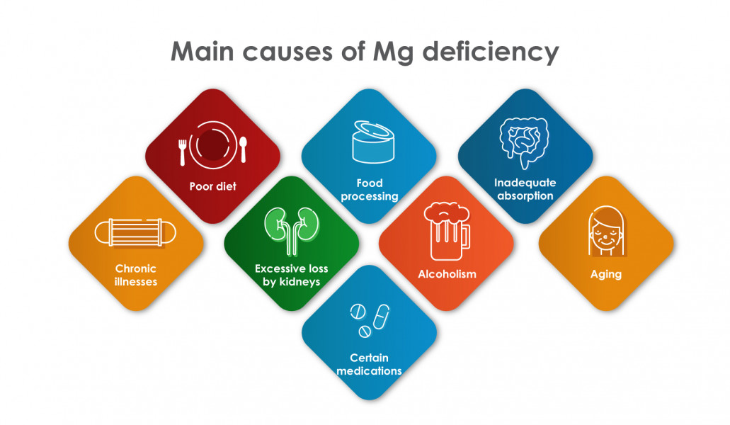 Main causes of Magnesium deficiency  by Supreme Pharmatech