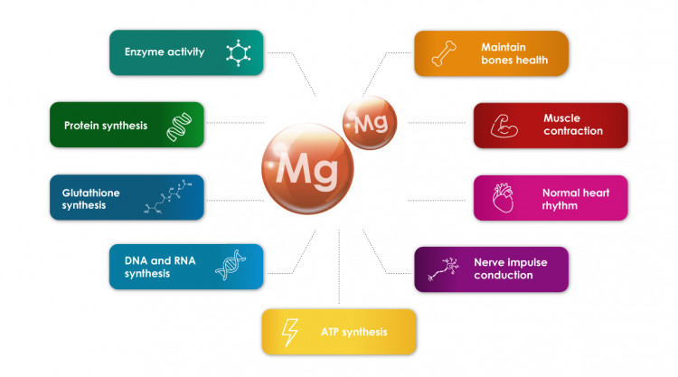 The importance of Magnesium by Supreme Pharmatech