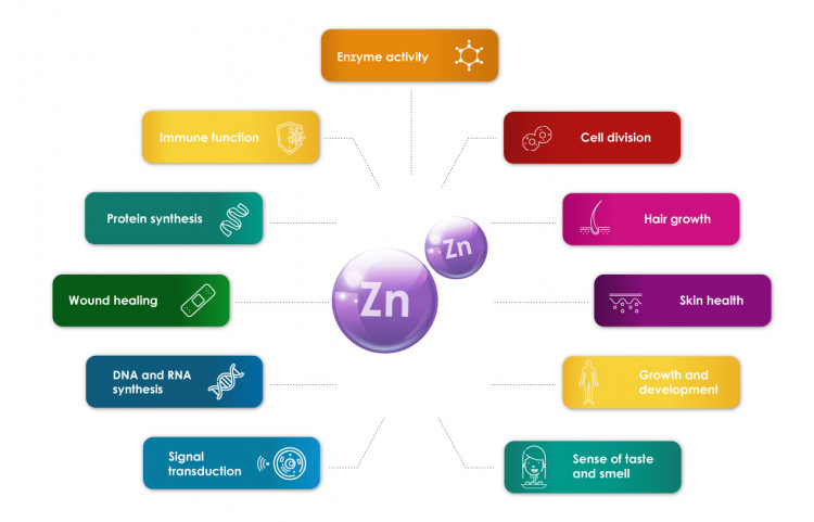 The importance of zinc by Supreme Pharmatech